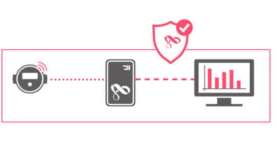 Cifrado TLS y Seguridad de Datos